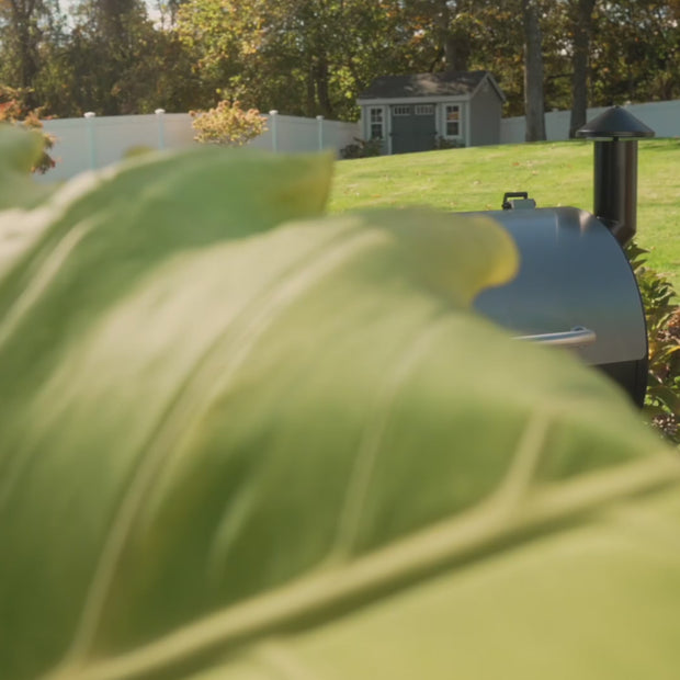 Z Grills 7002C2E (7002F2) - Wood Pellet Grill & Smoker